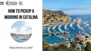 Find a best trainer to know How to Pickup a Mooring in Catalina