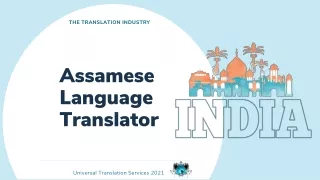 the translation industry