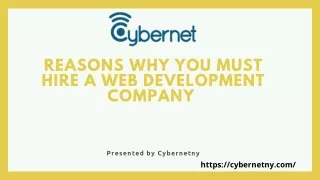reasons why you must hire a web development