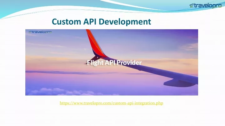 custom api development