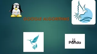 google algorithms