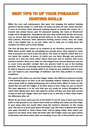best tips to up your pheasant best tips