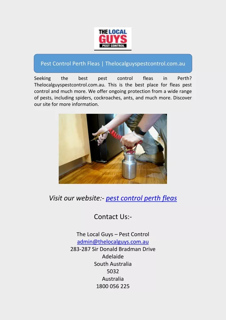 pest control perth fleas thelocalguyspestcontrol