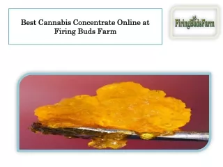 Best Cannabis Concentrate Online at Firing Buds Farm
