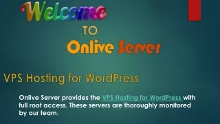 Get best VPS hosting for WordPress for developing your Business