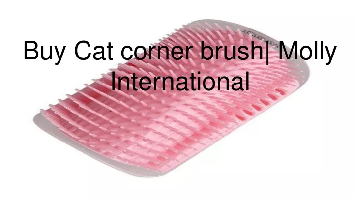 buy cat corner brush molly international