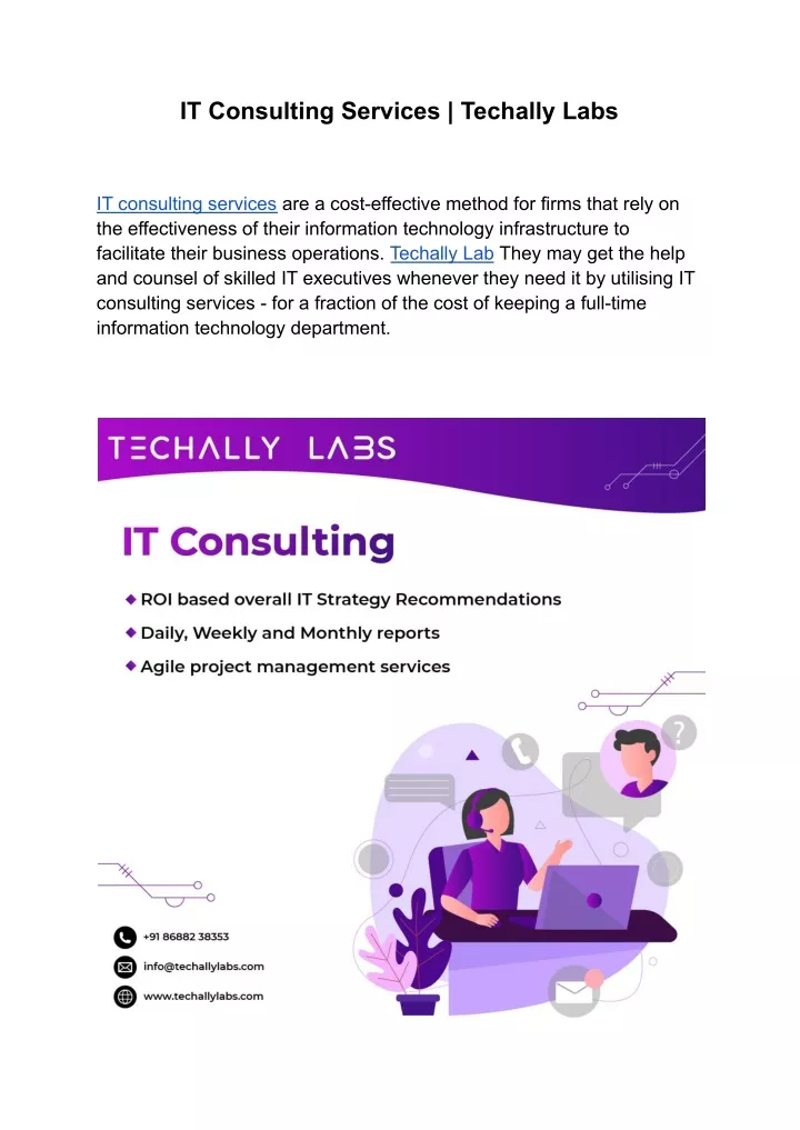 it consulting services techally labs