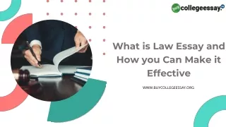 What is Law Essay and How you Can Make it Effective