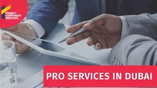 Pro Services In Dubai