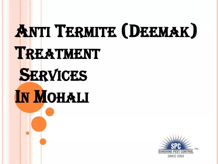 anti termite deemak treatment services in mohali