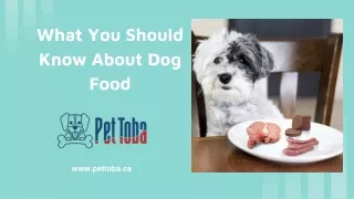What you should know about dog food