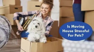 Is Moving House Stressful For Pets