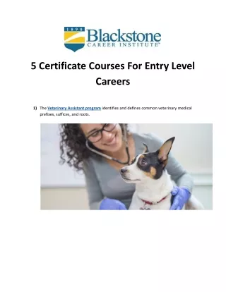 5 Certificate Courses For Entry Level Careers