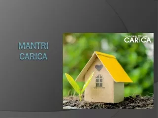 Mantri Carica