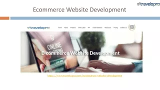 ecommerce website development