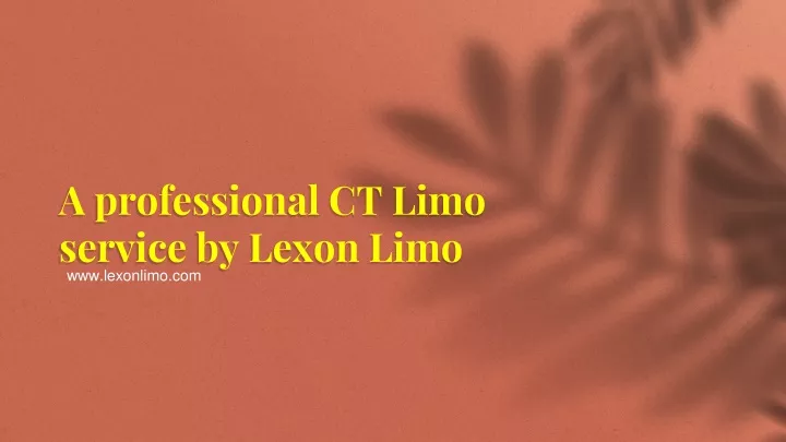 a professional ct limo service by lexon limo