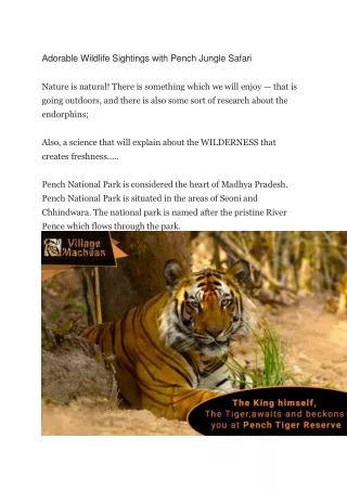 Adorable Wildlife Sightings with Pench Jungle Safari - Nature's Sprout