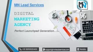 Best SEO Agency | MN LEAD SERVICES