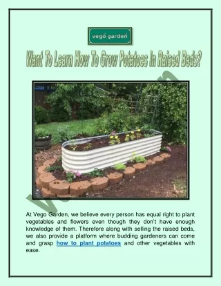 Want to learn how to grow potatoes in raised beds?