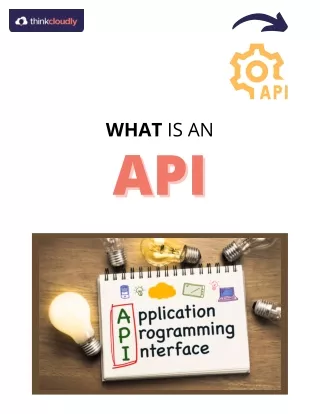 what is an api api