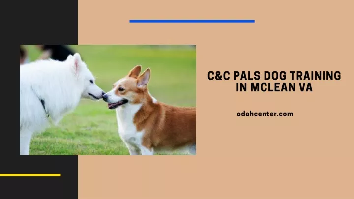 c c pals dog training in mclean va