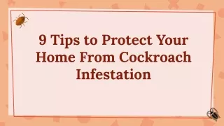 9 Tips to Protect Your Home From Cockroach Infestation