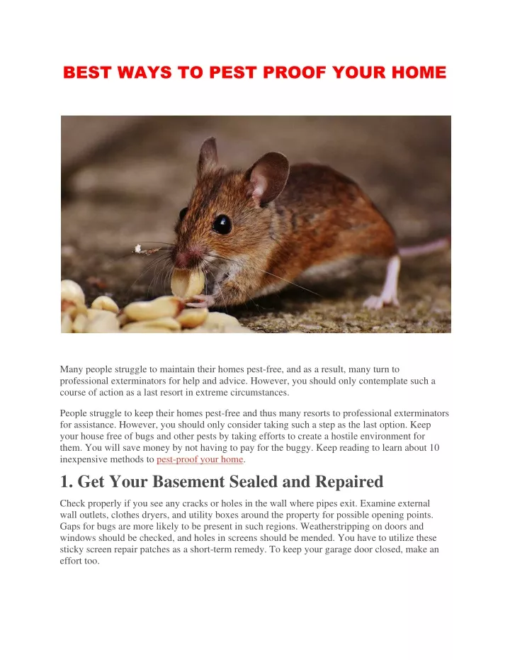 best ways to pest proof your home