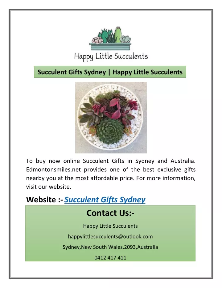 succulent gifts sydney happy little succulents