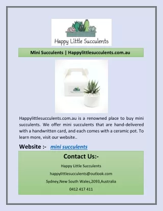 mini succulents happylittlesucculents com au