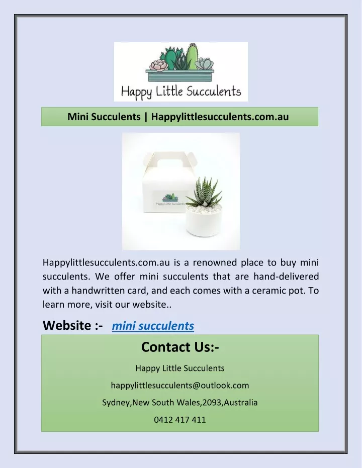 mini succulents happylittlesucculents com au