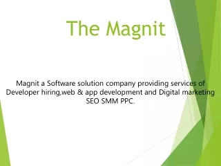 Custom Website & Mobile App development Company | Magnit