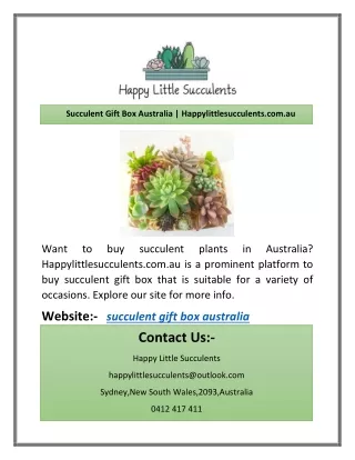 succulent gift box australia