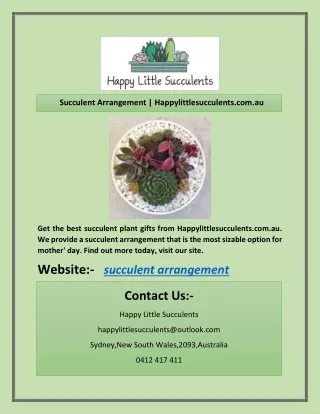 succulent arrangement happylittlesucculents com au