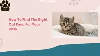 How To Find The Right Cat Food For Your Kitty (1)