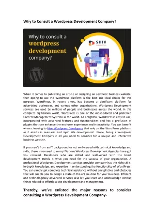 why to consult a wordpress development company