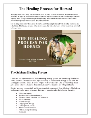 The Healing Process for Horses!