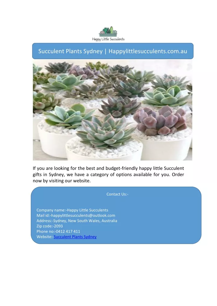 succulent plants sydney happylittlesucculents