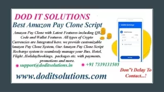 Readymade AmazonPay Clone System - DOD IT SOLUTIONS