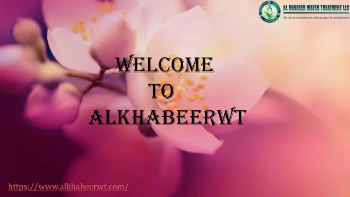 welcome to alkhabeerwt