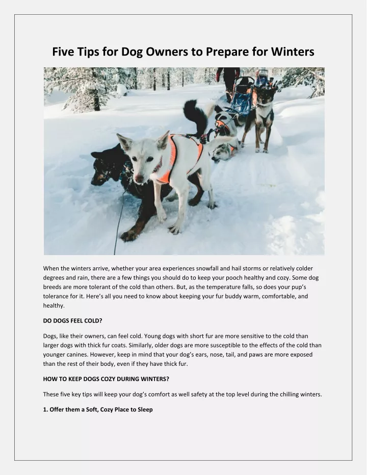 five tips for dog owners to prepare for winters