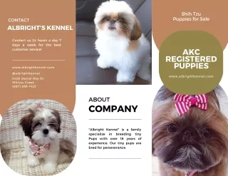 Shih Tzu Puppies for Sale family Breeders