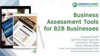 Business Assessment Tools for B2B Businesses - Company Expert