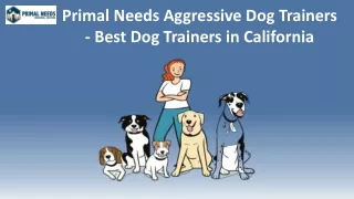 Primal Needs Aggressive Dog Trainers - Best Dog Trainers in California