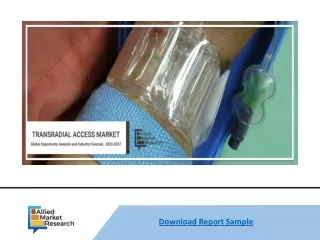 download report sample