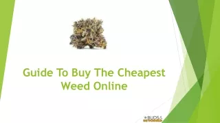 Guide To Buy The Cheapest Weed Online