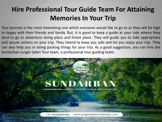 Hire Professional Tour Guide Team For Attaining Memories In Your Trip