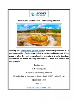 yellowstone guided tours actiontourguide com