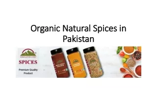 Organic Natural Spices in Pakistan