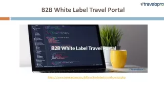 b2b white label travel portal
