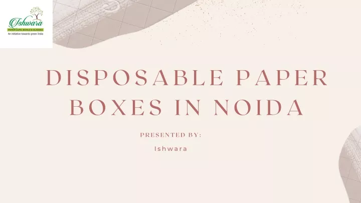 disposable paper boxes in noida